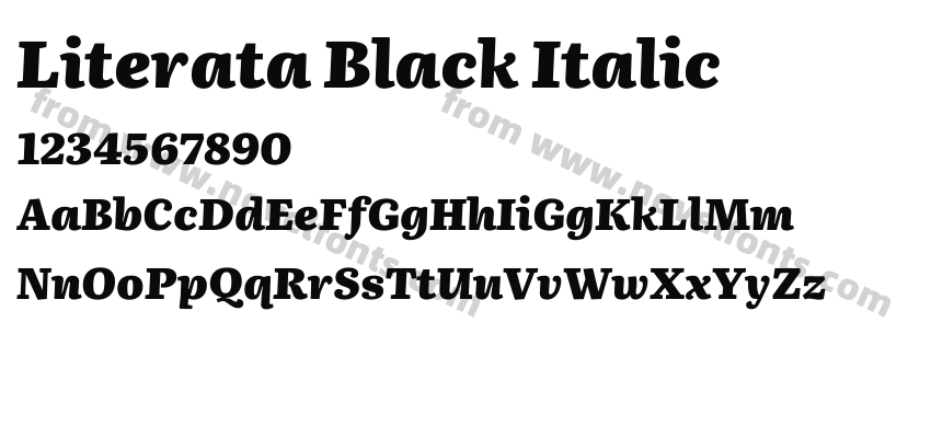 Literata Black ItalicPreview