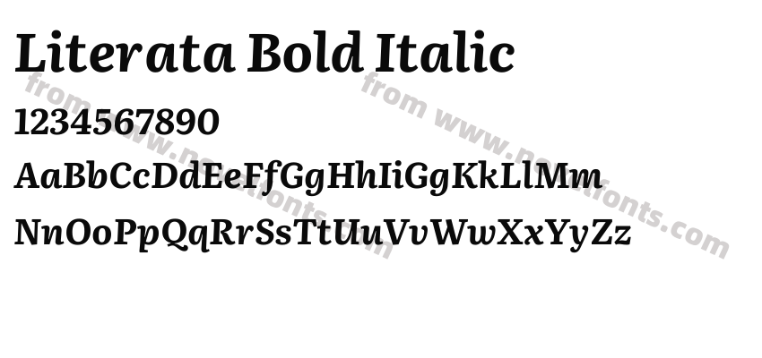 Literata Bold ItalicPreview