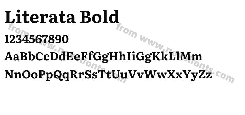 Literata BoldPreview