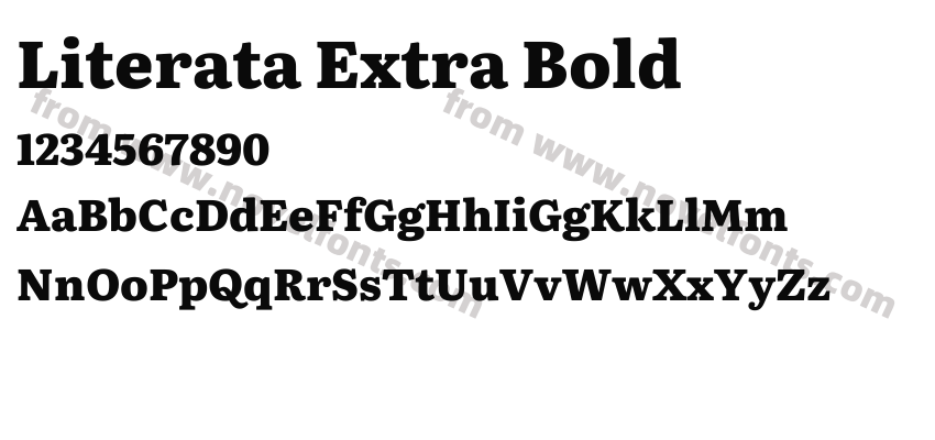 Literata Extra BoldPreview