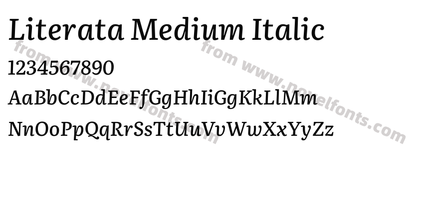 Literata Medium ItalicPreview