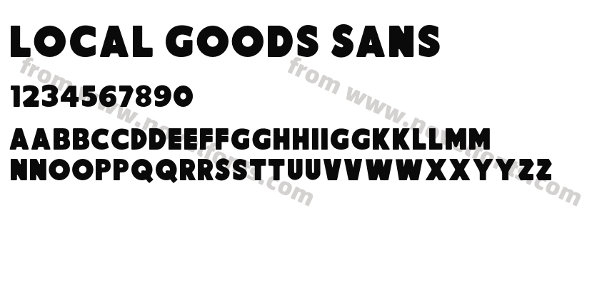 Local Goods SansPreview