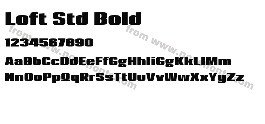 Loft Std BoldPreview