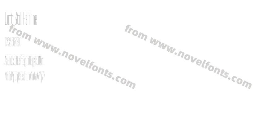 Loft Std HairlinePreview