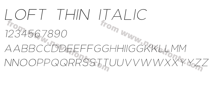 Loft Thin ItalicPreview