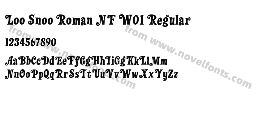 Loo Snoo Roman NF W01 RegularPreview