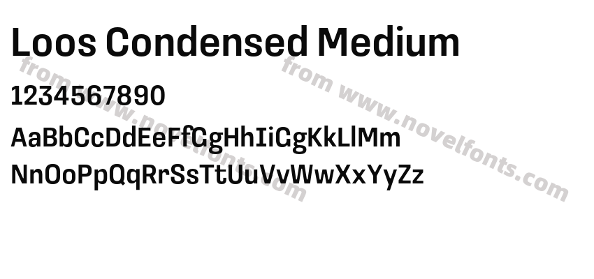 Loos Condensed MediumPreview