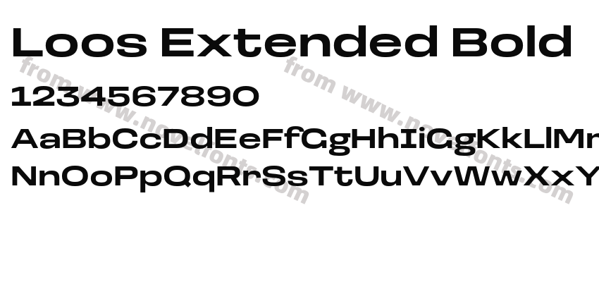 Loos Extended BoldPreview