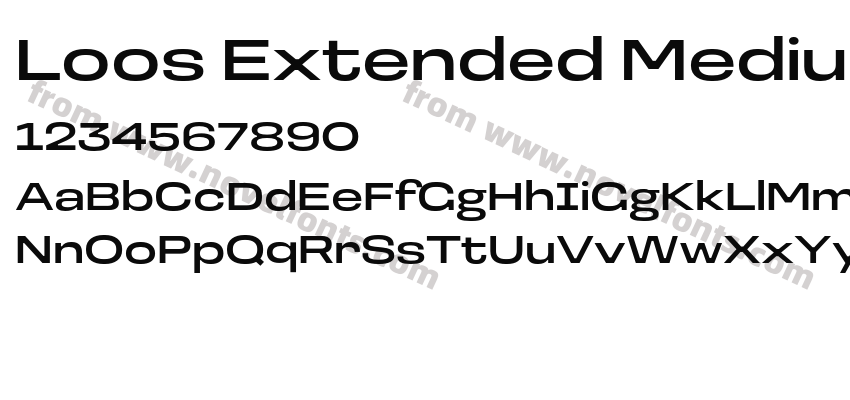 Loos Extended MediumPreview