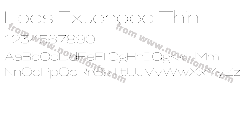 Loos Extended ThinPreview