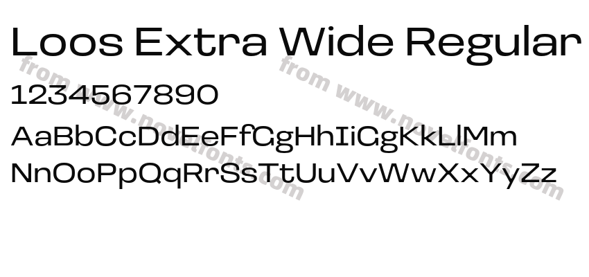 Loos Extra Wide RegularPreview