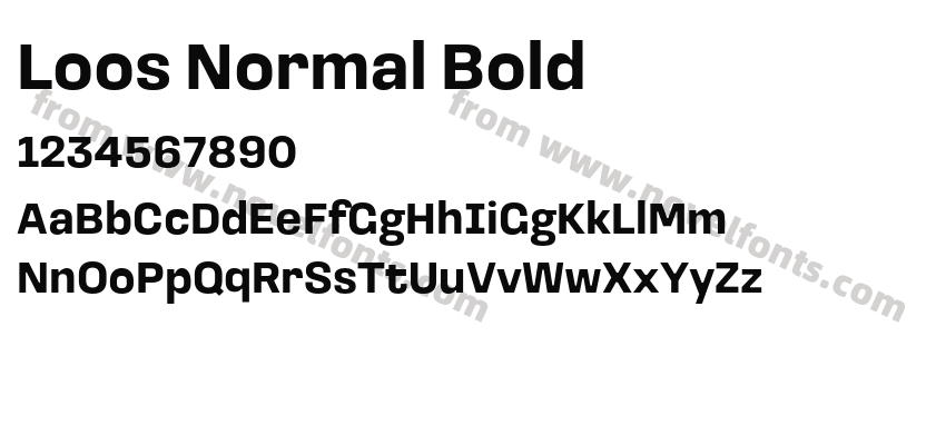 Loos Normal BoldPreview
