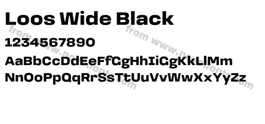 Loos Wide BlackPreview