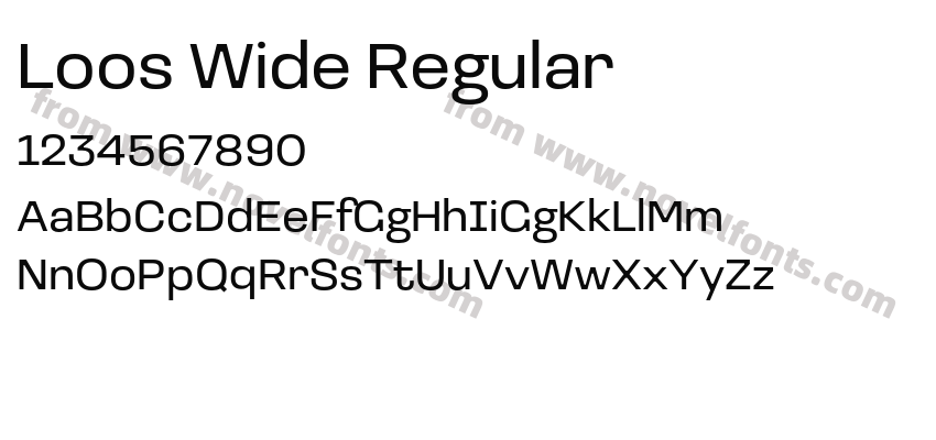 Loos Wide RegularPreview