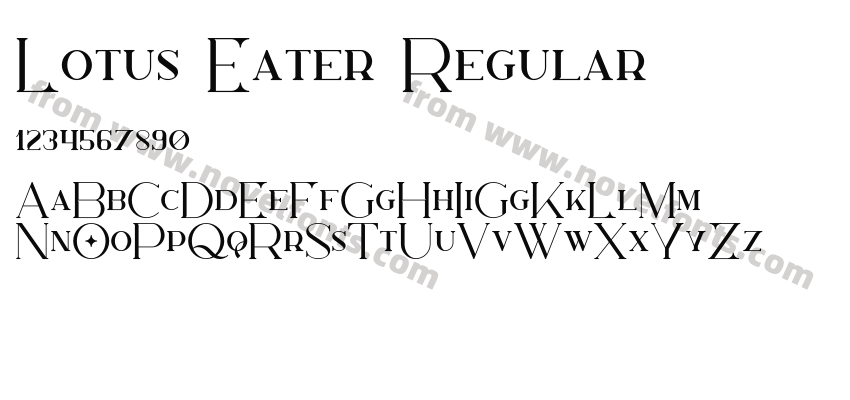 Lotus Eater RegularPreview