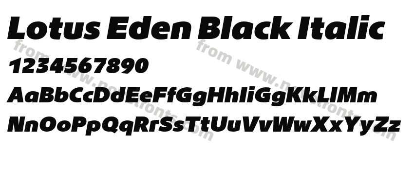 Lotus Eden Black ItalicPreview
