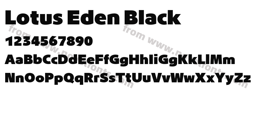 Lotus Eden BlackPreview