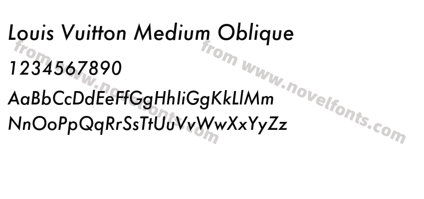 Louis Vuitton Medium ObliquePreview