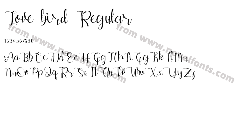 Love bird RegularPreview