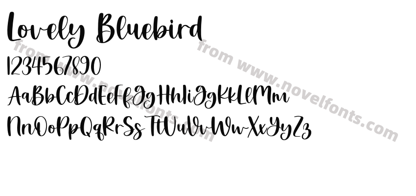 Lovely BluebirdPreview