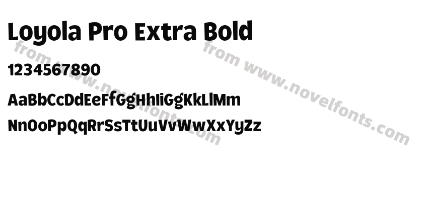 Loyola Pro Extra BoldPreview
