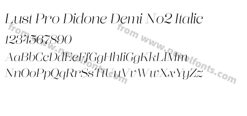 Lust Pro Didone Demi No2 ItalicPreview