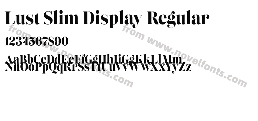 Lust Slim Display RegularPreview