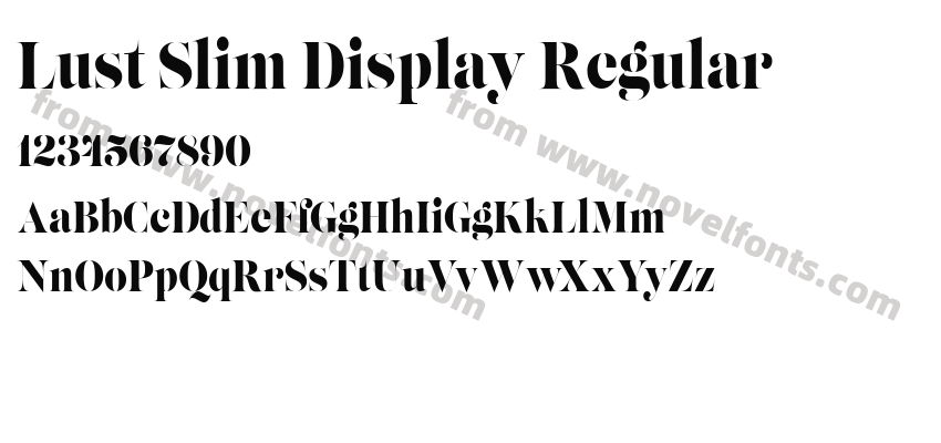 Lust Slim Display RegularPreview