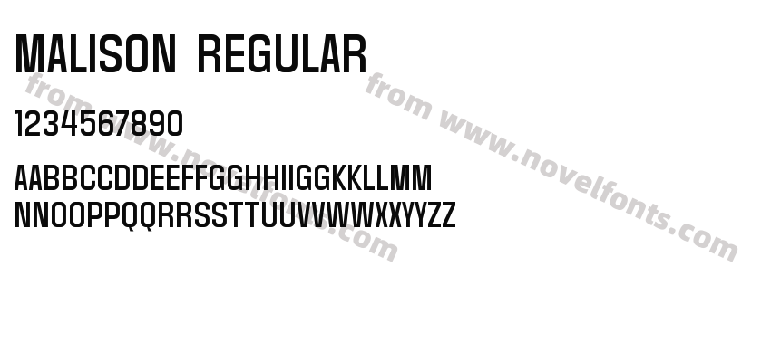 MALISON RegularPreview