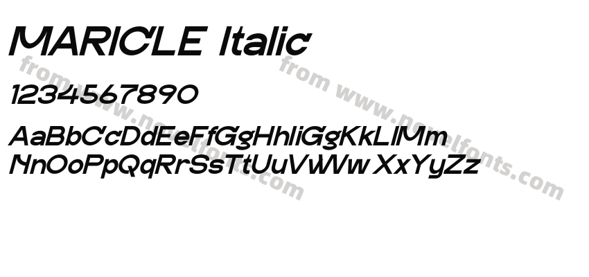 MARICLE ItalicPreview