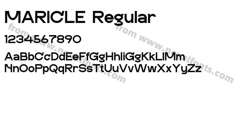 MARICLE RegularPreview