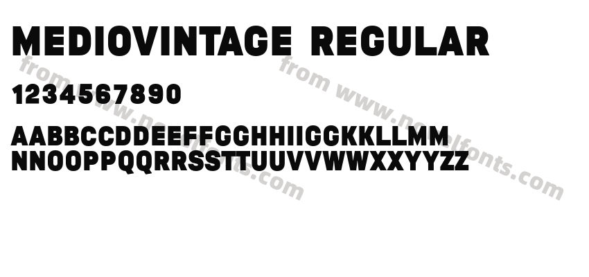 MEDIOVINTAGE RegularPreview