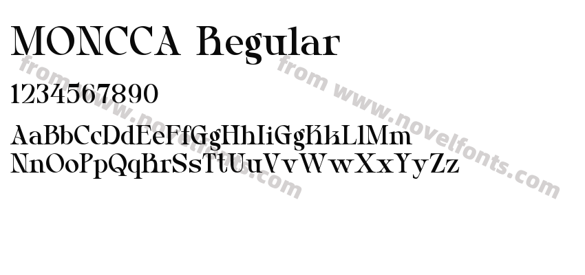 MONCCA RegularPreview
