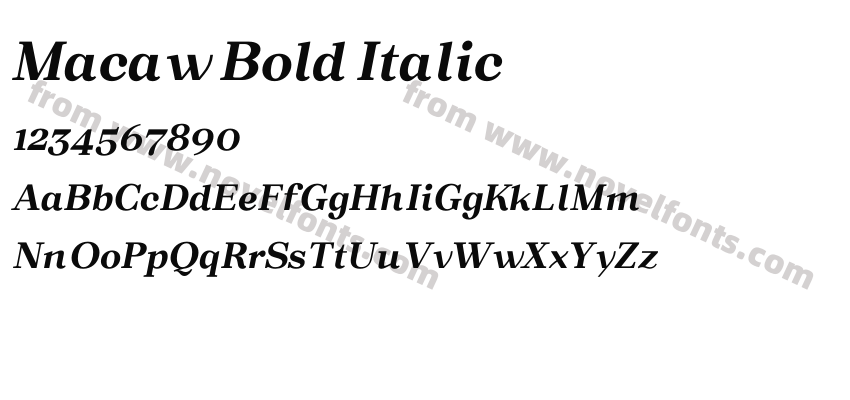 Macaw Bold ItalicPreview