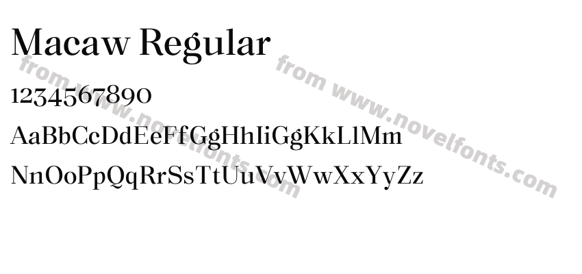 Macaw RegularPreview