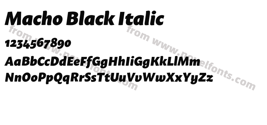 Macho Black ItalicPreview