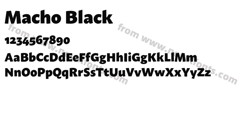 Macho BlackPreview