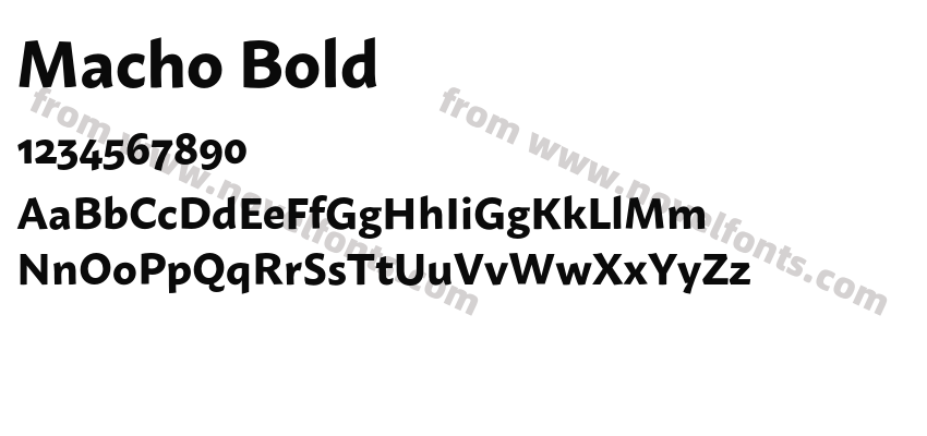 Macho BoldPreview