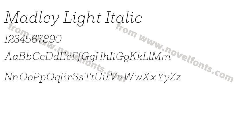 Madley Light ItalicPreview