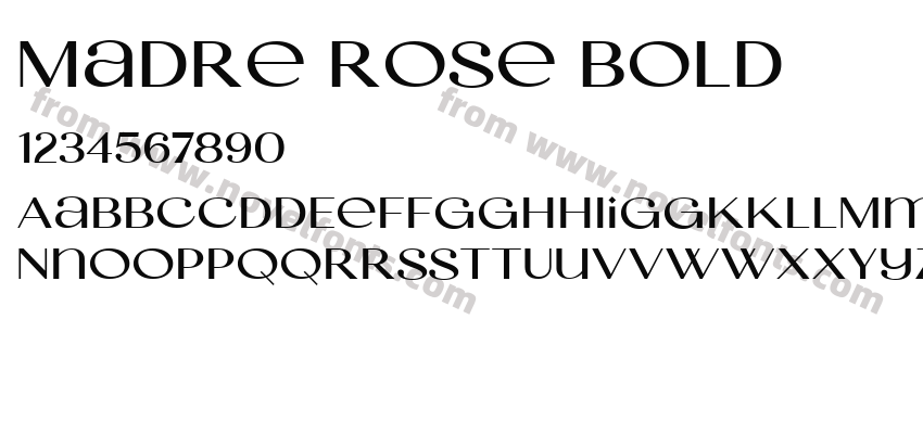 Madre Rose BoldPreview