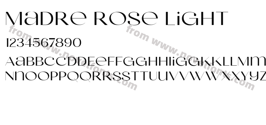 Madre Rose LightPreview