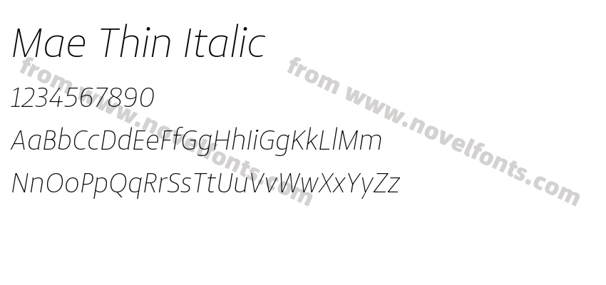 Mae Thin ItalicPreview