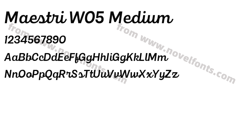 Maestri W05 MediumPreview