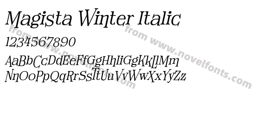 Magista Winter ItalicPreview