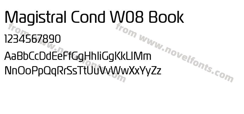 Magistral Cond W08 BookPreview