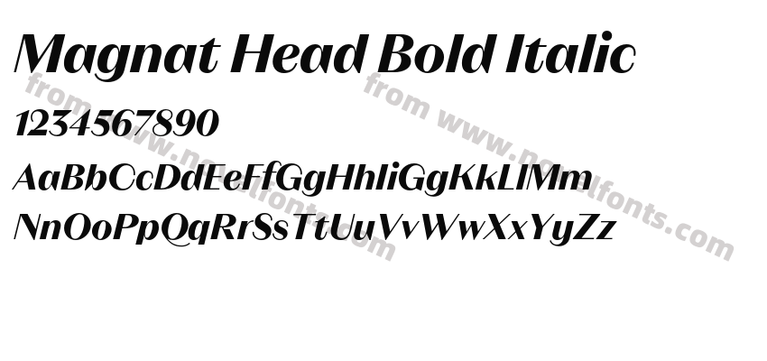 Magnat Head Bold ItalicPreview