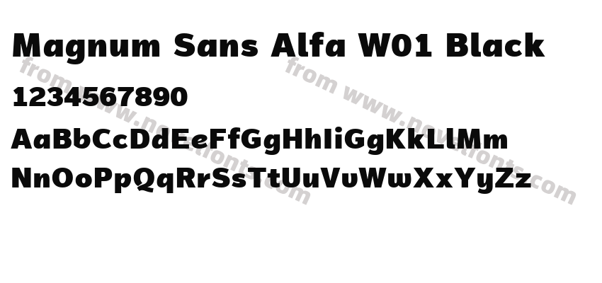 Magnum Sans Alfa W01 BlackPreview
