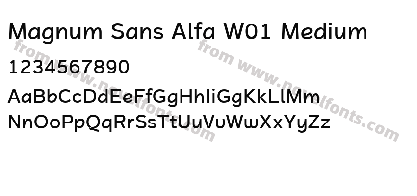Magnum Sans Alfa W01 MediumPreview