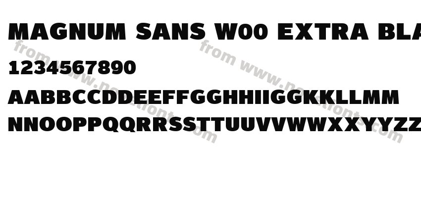 Magnum Sans W00 Extra BlackPreview
