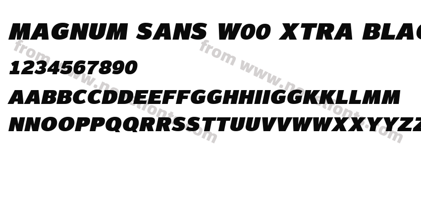 Magnum Sans W00 Xtra Black OblPreview